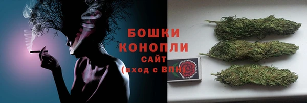 индика Аркадак