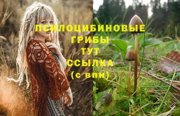 спиды Арсеньев