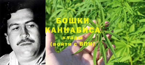 индика Аркадак