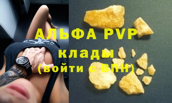 индика Аркадак