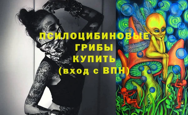 герыч Новокубанск
